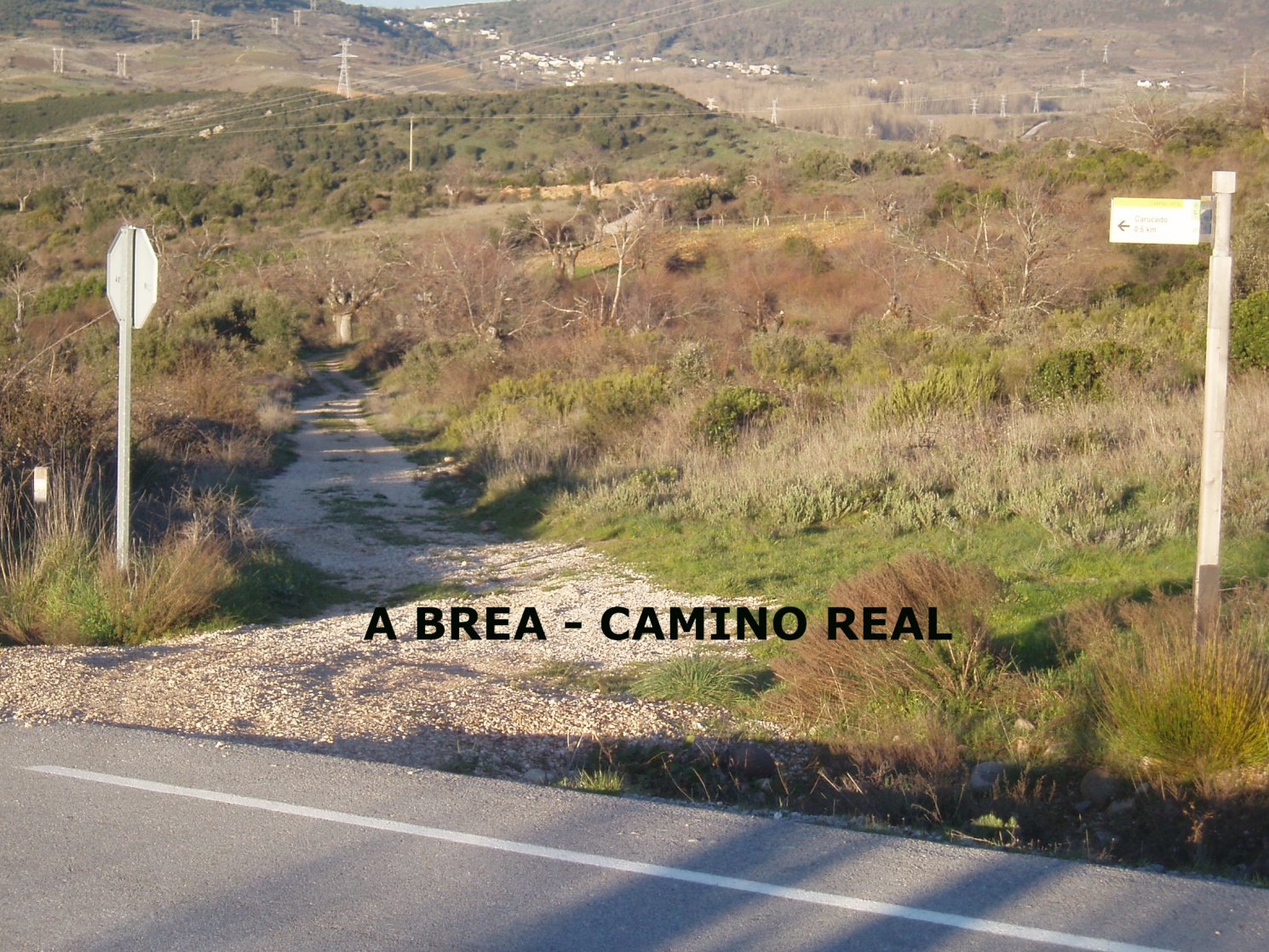 A Brea.jpg